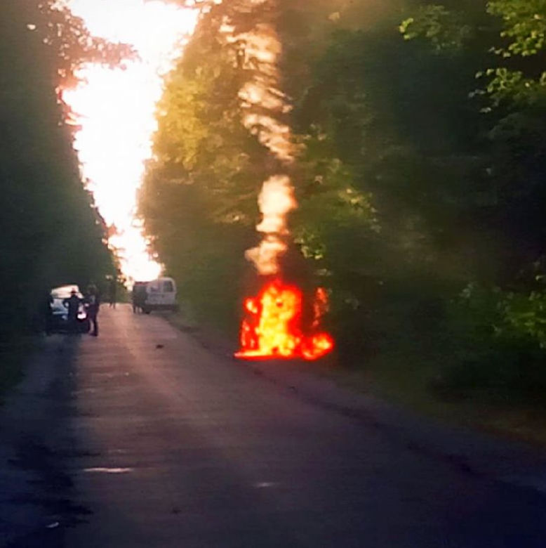 Zderzenie z sarną może skończyć się TRAGICZNIE. Auto 27-latki stanęło w płomieniach