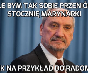 Memy o Radomiu