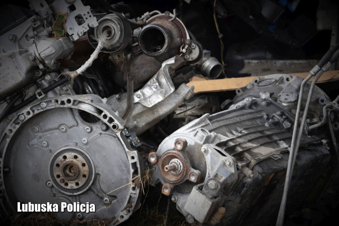 Żarscy policjanci rozbili dziuplę. W niej auta warte kilka mln złotych