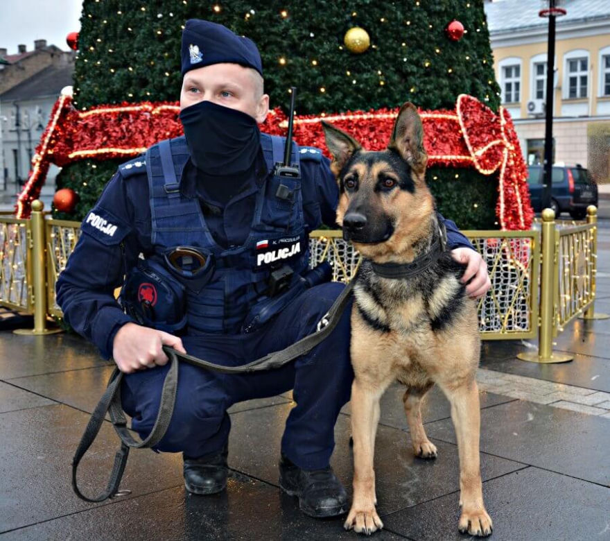 Szarik - nowy policyjny pies w Komendzie Miejskiej Policji w Suwałkach [ZDJĘCIA]