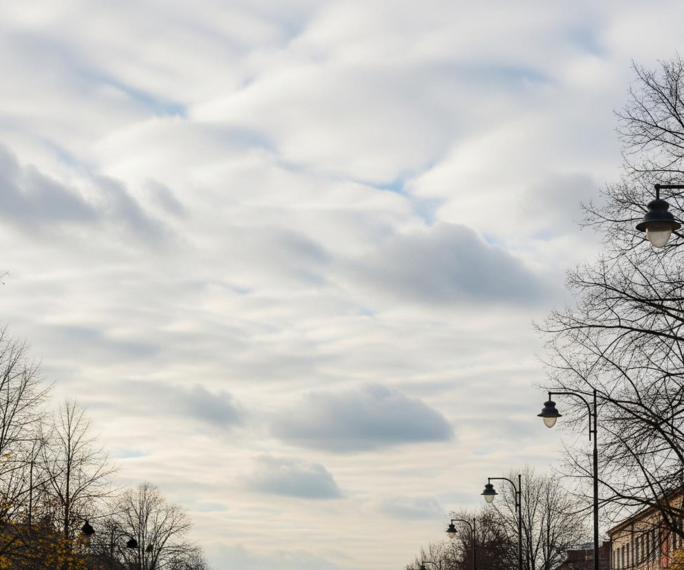 Niebo wypełniają rozległe, puszyste chmury w odcieniach szarości i bieli, z subtelnymi prześwitami błękitu widocznymi między nimi. Na pierwszym planie, po lewej i prawej stronie, dominują bezlistne drzewa z ciemnymi, rozgałęzionymi konarami, tworzące efekt ramki. W lewej dolnej części obrazu widoczna jest gęsta choinka oraz krzewy z żółtymi liśćmi, a po prawej stronie widać fragmenty budynków z dachami w odcieniach czerwieni i brązu. Wzdłuż środkowej części zdjęcia, w oddali, znajdują się latarnie uliczne z ciemnymi, ozdobnymi oprawami i jasnymi, owalnymi kloszami, stopniowo zmniejszające się w perspektywie.