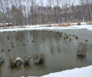 Śnieg zasypał Tarnów, teraz czas na mróz. Będzie PRZEŹLIWIE zimno