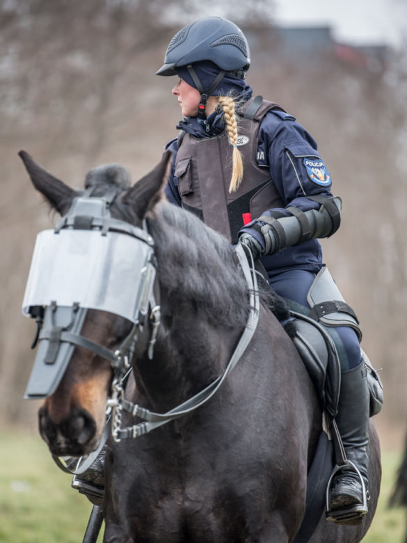 Atestacja koni policyjnych