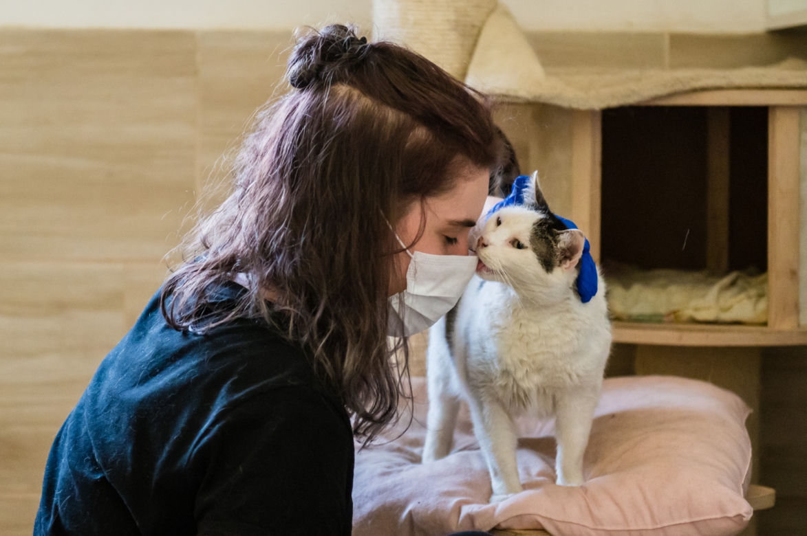 Koronawirus w Trójmieście. Zamieszkali razem ze zwierzętami w schronisku [ZDJĘCIA]