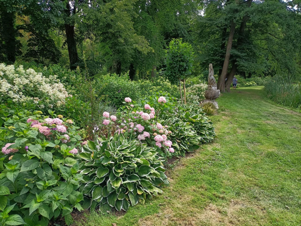 Arboretum Kórnickie - raj dla miłośników pięknych roślin
