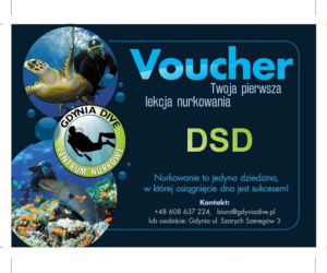 Gdynia DIVE - VOUCHER na lekcję nurkowania DSD.