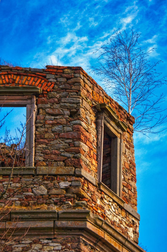 Ruiny Pałacu w Podzamczu Piekoszowskim