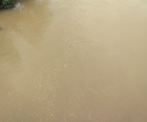 Sytuacja hydrologiczna w Tarnowie. Czy grozi nam powódź?