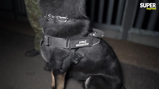 Karolina Pajączkowska na granicy polsko-białoruskiej