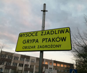 Ptasia grypa Wrocław
