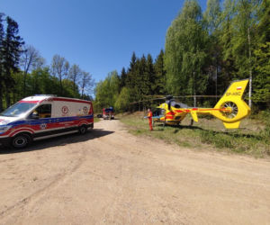 Tragiczny wypadek podczas prac leśnych w gminie Orzysz