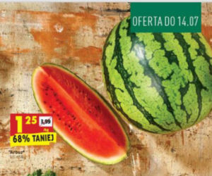 Nowe promocje w Biedronce od 12.07
