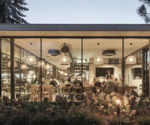 Food Fort na Ostrowie Tumskim