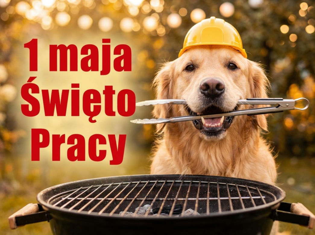 śmieszny obrazek na 1 maja