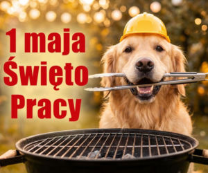 śmieszny obrazek na 1 maja