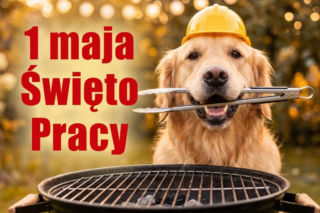 śmieszny obrazek na 1 maja