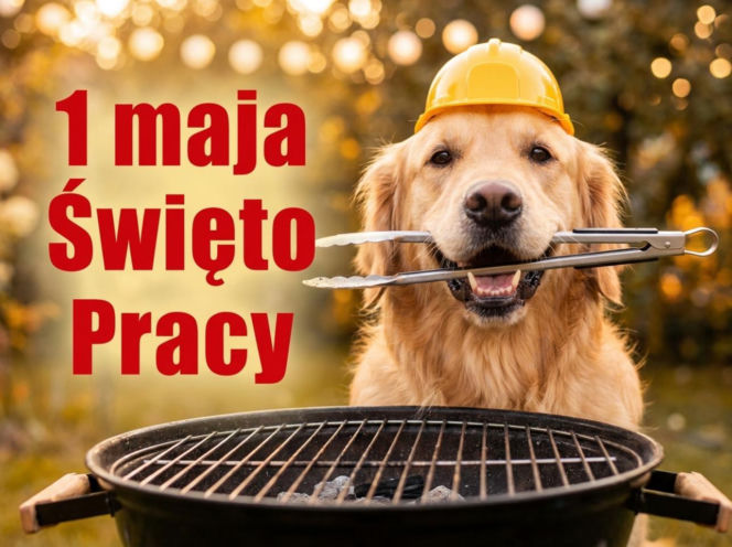 śmieszny obrazek na 1 maja