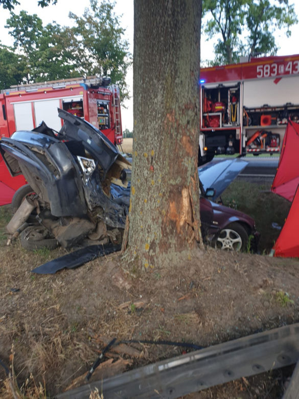 Śmiertelny wypadek pod Zgierzem. Dwóch mężczyzn zginęło w roztrzaskanym BMW. Policja szuka świadków 