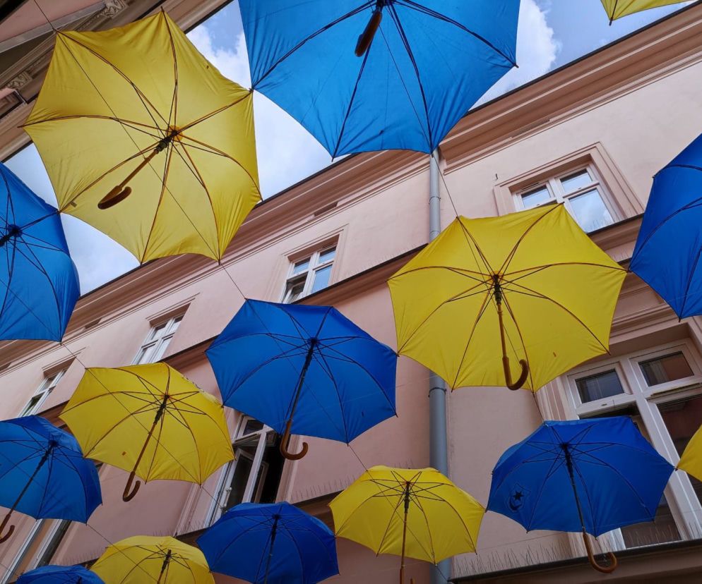 Na Tarnów wylał się hejt z powodu... parasolek. Internautom nie spodobały się kolory