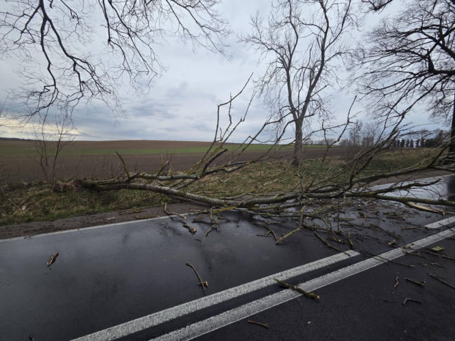 Interwencje strażaków w powiecie iławskim podczas Wielkanocy