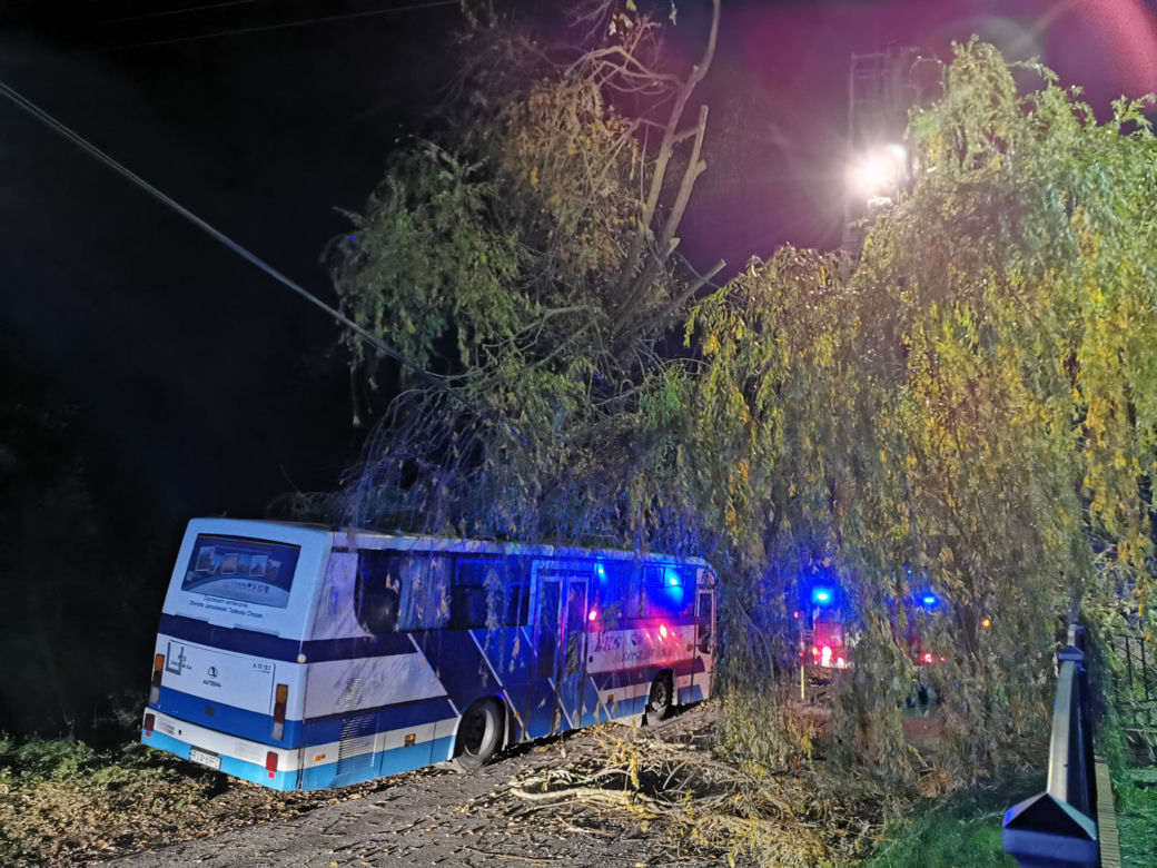 Wichura powaliła drzewo na autobus