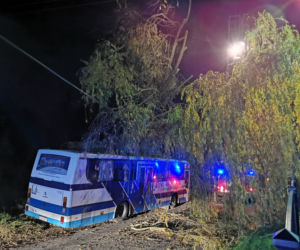 Wichura powaliła drzewo na autobus