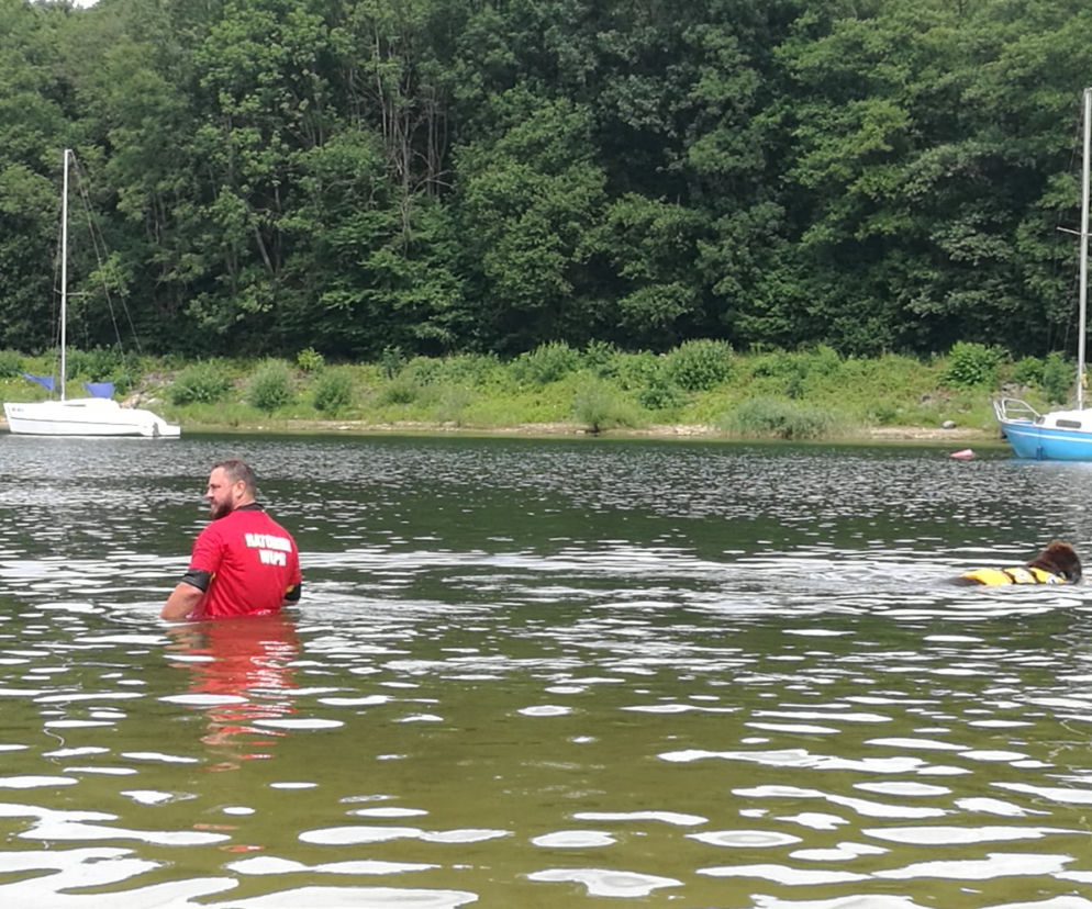 I Festiwal Psów Ratowniczych na plaży miejskiej w Żywcu