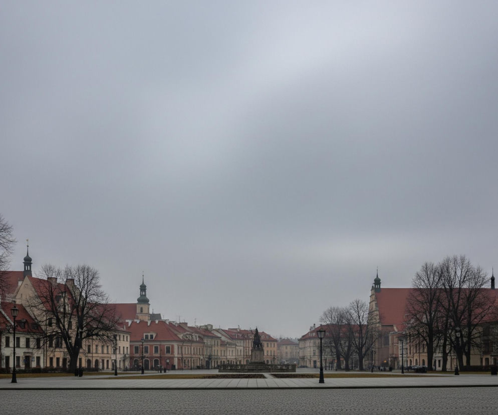 Przedstawiono szeroki widok na duży, brukowany plac miejski otoczony budynkami z czerwonymi dachami i drzewami bez liści. Centralnie, w oddali, widoczny jest pomnik konny oraz wieża kościelna z kopułą, a w tle rozpościera się jednolite, szare niebo. Po obu stronach placu rzędy kamienic tworzą zamkniętą przestrzeń, a ich elewacje mają odcienie beżu, różu i żółci. Na pierwszym planie, po lewej i prawej stronie, dominują duże, rozłożyste drzewa z nagimi konarami.