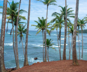 Kenia czy Sri Lanka? Turyści z Gdańska polecą tam bezpośrednio