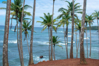 Kenia czy Sri Lanka? Turyści z Gdańska polecą tam bezpośrednio