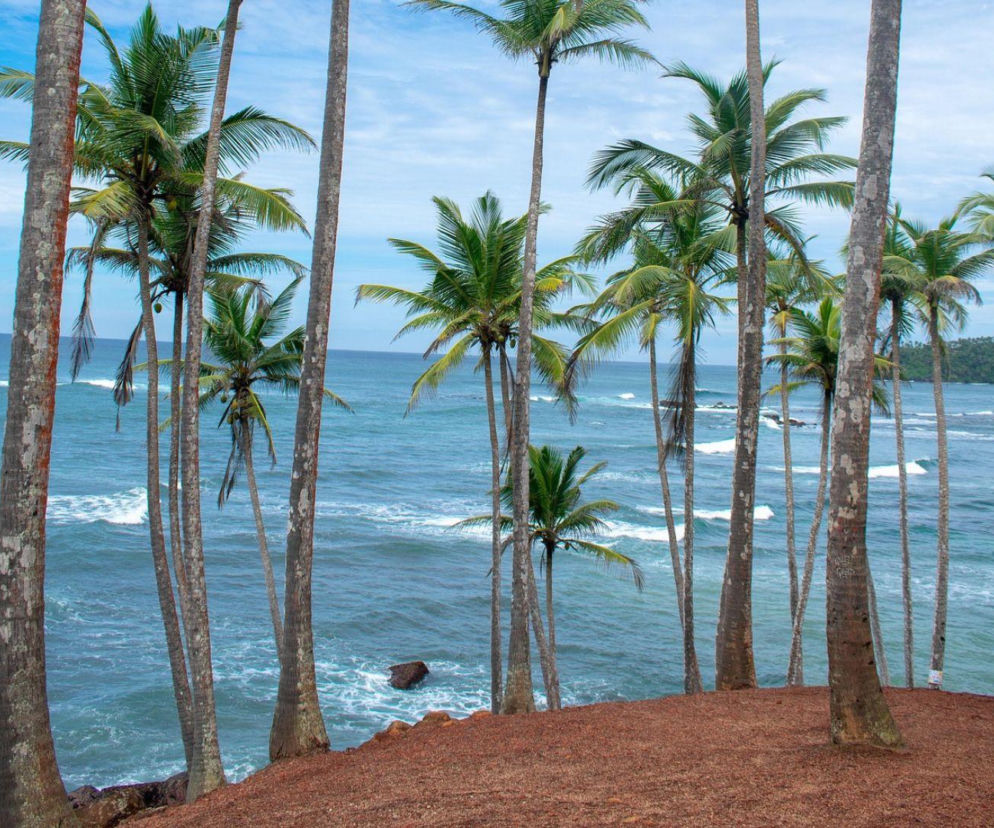 Kenia czy Sri Lanka? Turyści z Gdańska polecą tam bezpośrednio