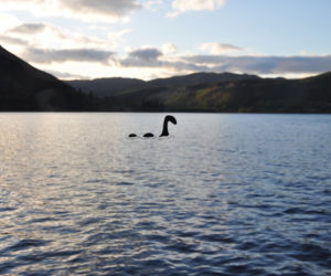 Potwór z Loch Ness jest żółwiem! Naukowcy ujawniają