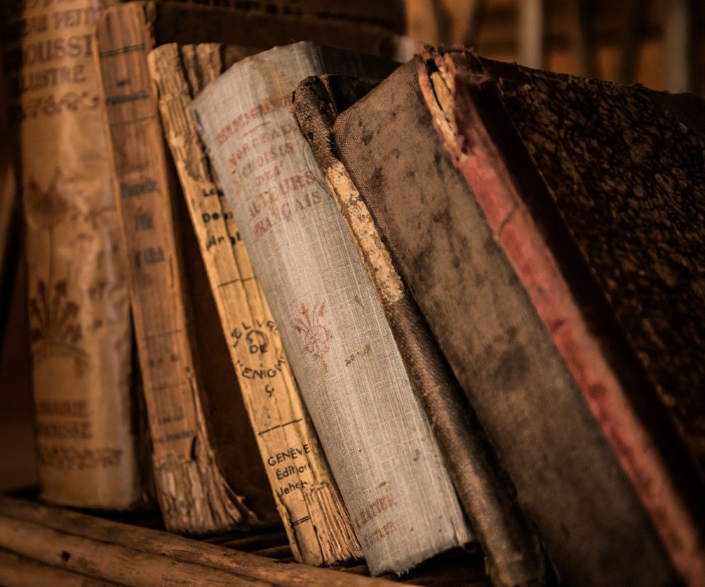 CENNE KSIĄŻKI zarekwirowane na granicy. Trafiły do Wojewódzkiej Biblioteki Publicznej w Olsztynie