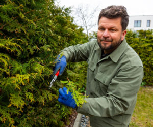 Murator Ogroduje, realizacje