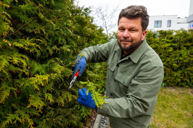 Murator Ogroduje, realizacje