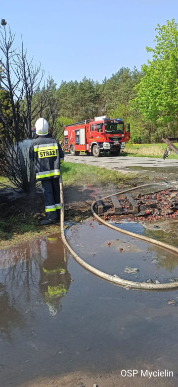 Tona truskawek poszła z dymem! Pożar auta dostawczego pod Kaliszem 