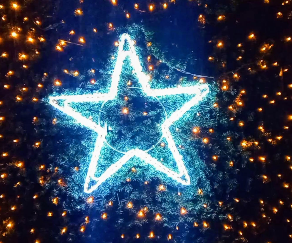 Iluminacje bożonarodzeniowe w Szczecinie