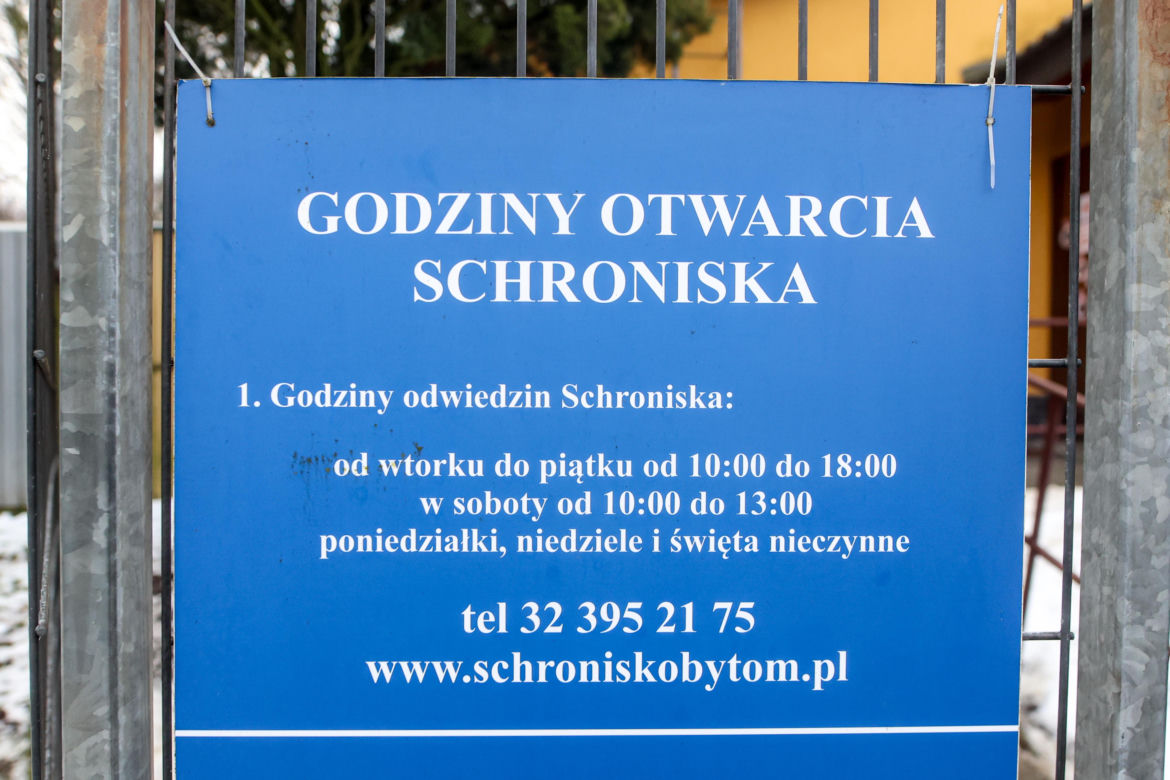 Miał być protest milczenia, doszło do awantury. Gorąco pod schroniskiem w Bytomiu