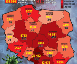 Koronawirus w Polsce. Dane na 5 października