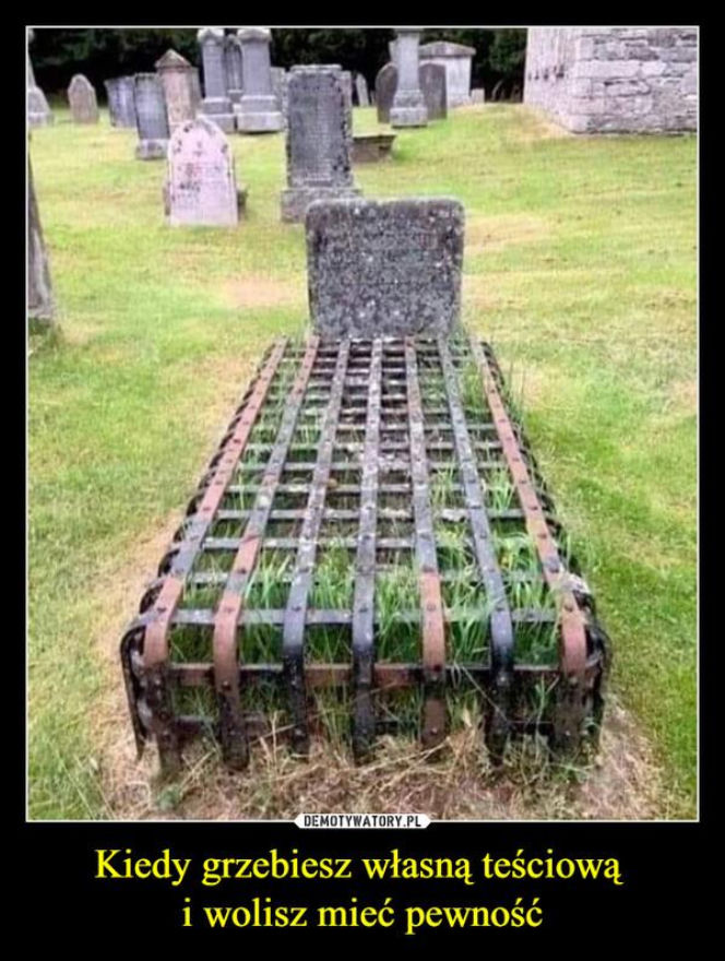 Tych memów o teściowych nie pokażesz mamie! Internauci nie mają litości