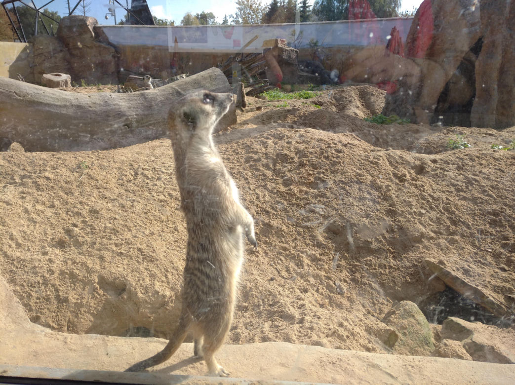 Ogród zoologiczny im. Stefana Milera w Zamościu
