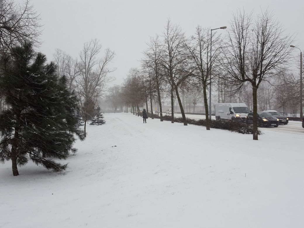 Kolejny atak zimy tej zimy w Lesznie. Miasto zasypane śniegiem