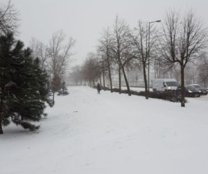 Kolejny atak zimy tej zimy w Lesznie. Miasto zasypane śniegiem