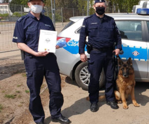 Harry, Boss, Taj - psy z bydgoskiej policji przeszły na emeryturę