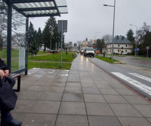 Bajkowa instalacja przed zamojski ratuszem