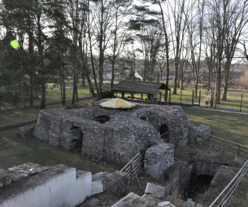 Kamienne ruiny dawnego wielkiego pieca huty w Rejowie wśród drzew. O historii tego zabytku przeczytasz w Eska Starachowice.