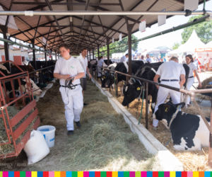 Targi rolnicze w Szepietowie 2019