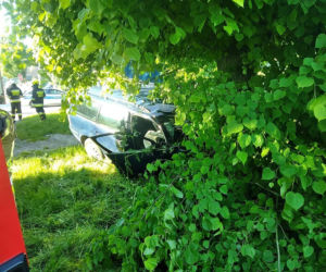 30-latek zginął pod Gostyninem! Jego volkswagen rozbił się o drzewo [ZDJĘCIA]