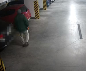 Próbowali włamać się do samochodu. Szuka ich policja z Torunia