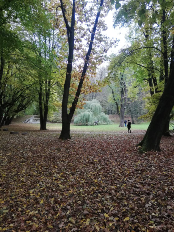 Łoś bawił się w berka ze strażakami i strażnikami